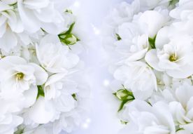 Фреска белые цветы