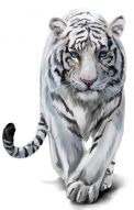 Фреска Белый тигр