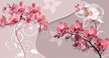 Фреска Ветки 3D орхидеи
