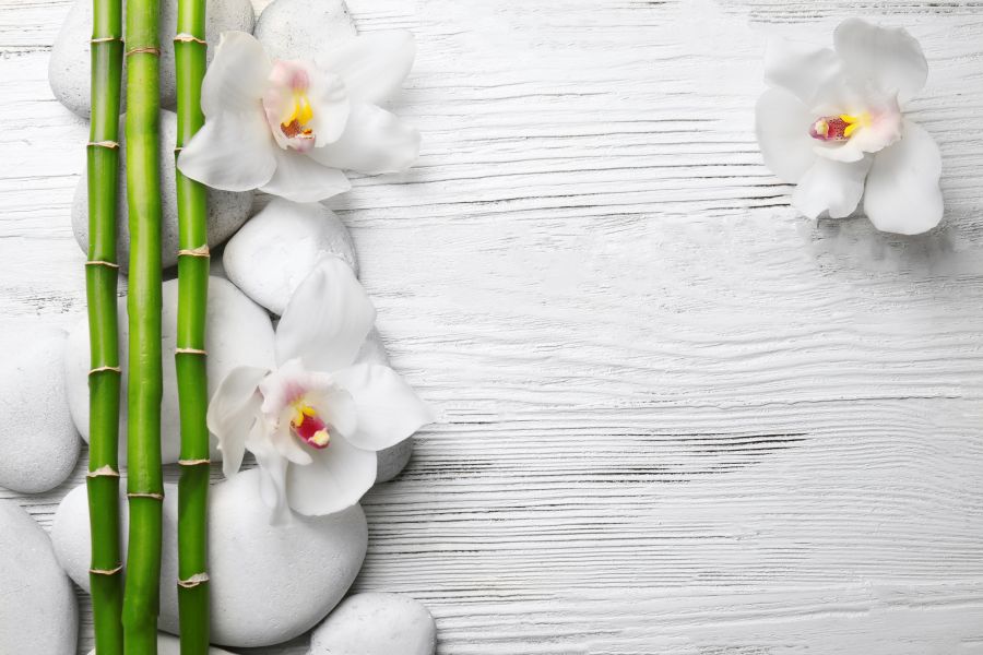 Картина на холсте Орхидея в стиле фэн-шуй, арт hd1373501